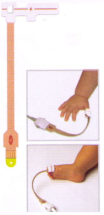 Masimo LNOP 2204 Masimo LNOP 2204
